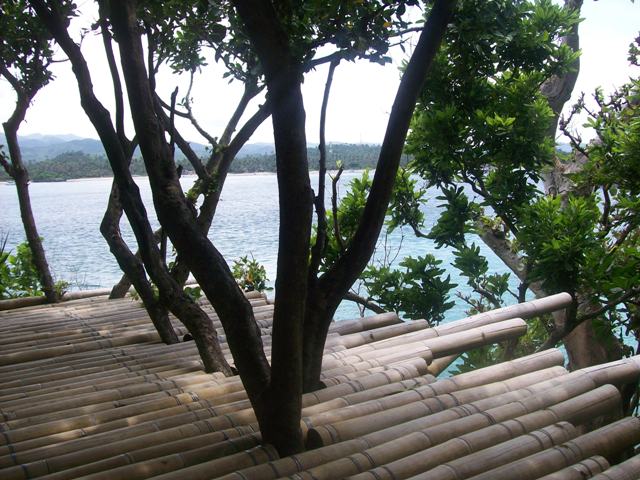 A view from the Bamboo spot A view from the Bamboo spot