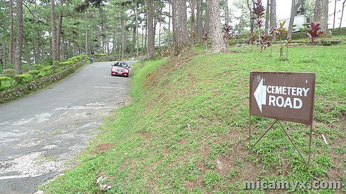 This way to the cemetery of negativism... This way to the cemetery of negativism...