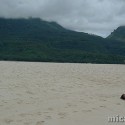 white-island
