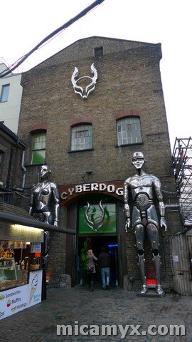Camden-cyberdog