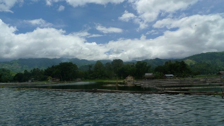 Simply Beautiful