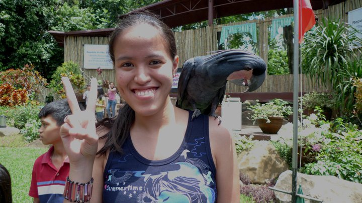 Photo-op with a birdie after the Amazing Bird Show of Malagos Garden Resort
