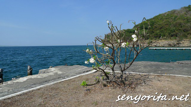 See you soon, Corregidor.