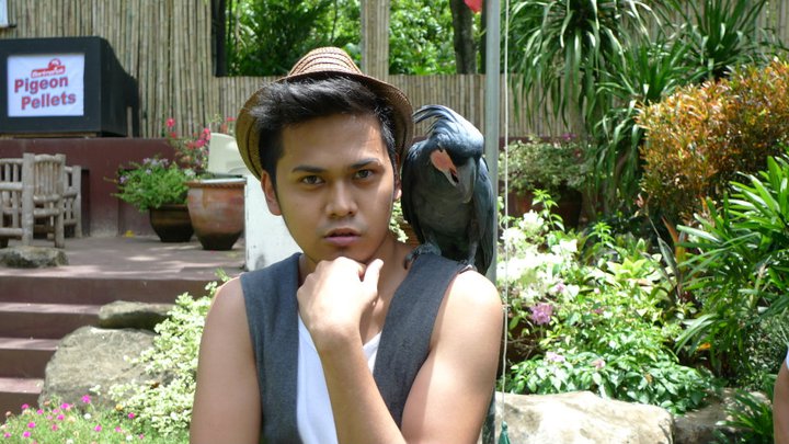 Robbie and the Black Palm Cockatoo (Kalma Style)