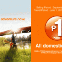 APX P1 sale domestic
