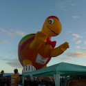 hot-air-balloon