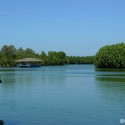 dawel-river-cruise-bangus-harvest