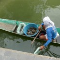 fisherman-dagupan
