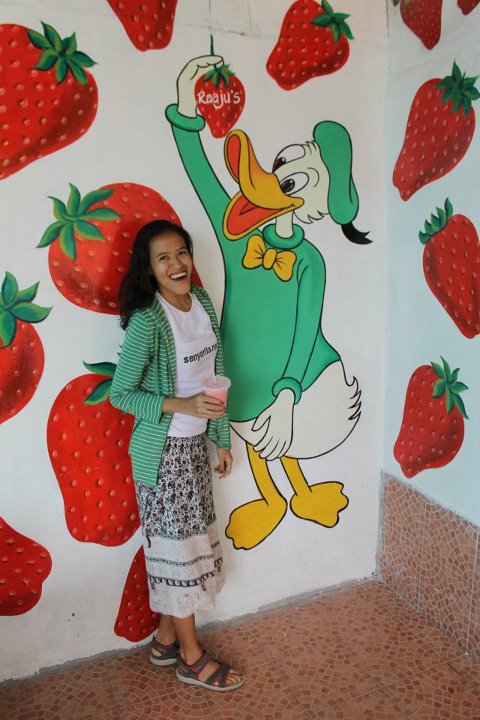 Strawberry Overload!!!