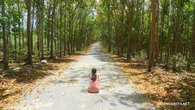 Straight Ahead - Do you know where you're going to?