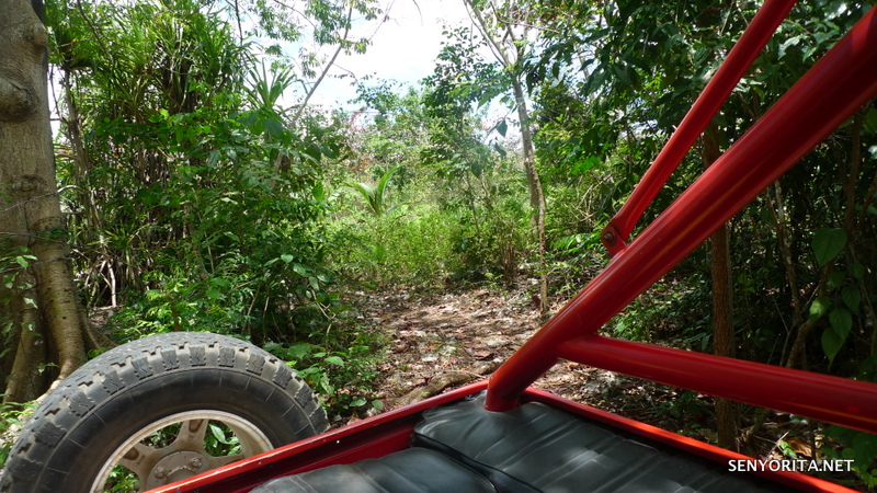 if there's a wheel.. este, will... there's a way!