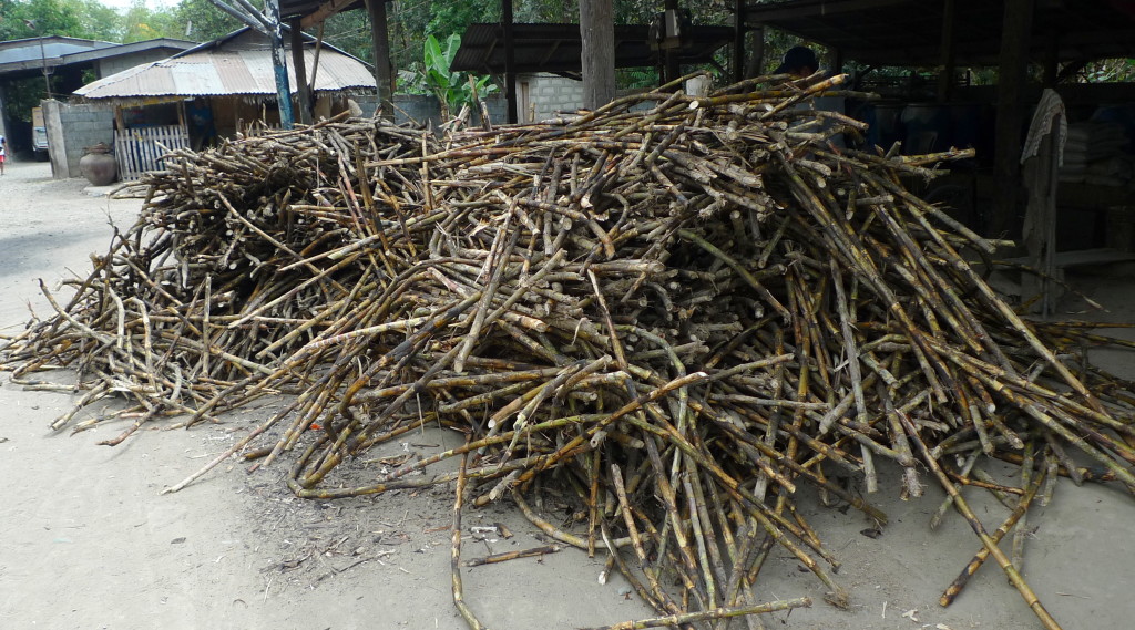 Binalonan-raw-sugar-cane