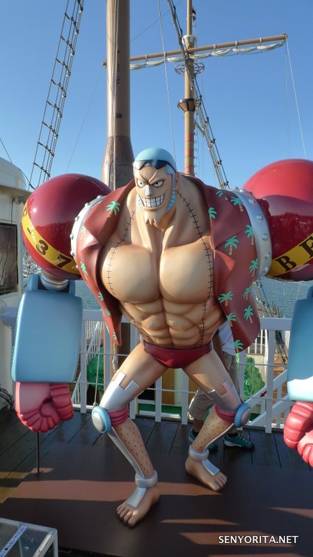 Thousand-Sunny-Laguna-Ten-Bosch-046