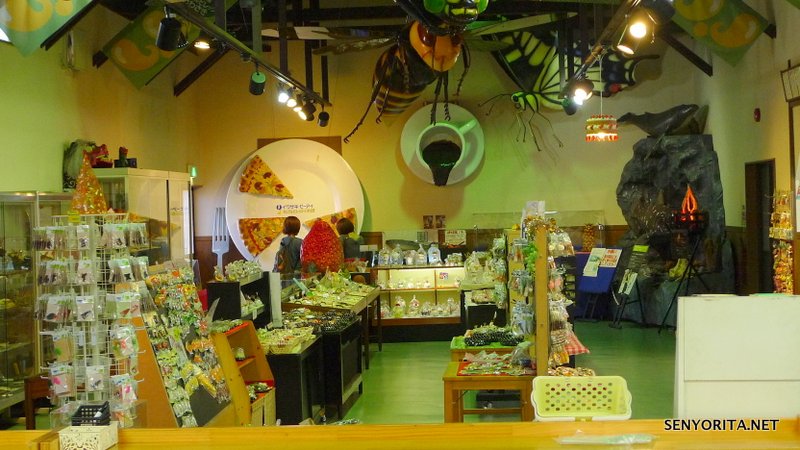 23-Food-Sample-Making-Japan-014