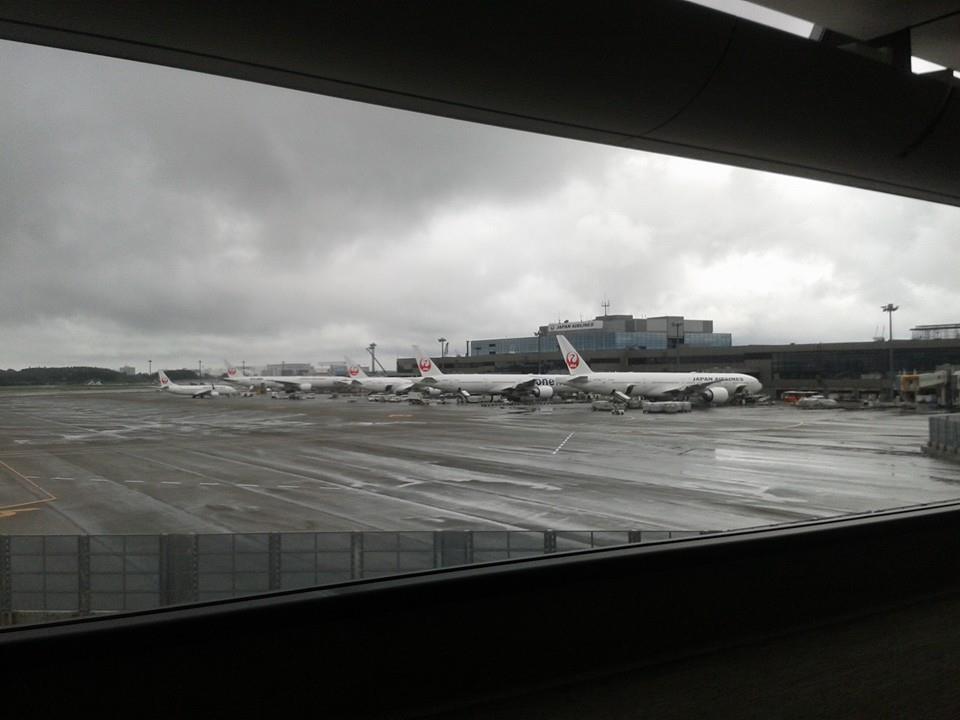 Japan Airlines at Narita International Airport