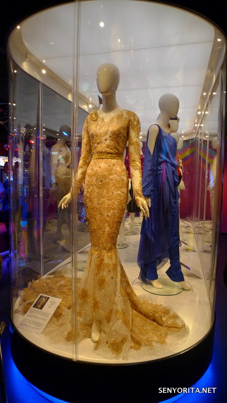 The gown worn by Conchita Wurst, the Austrian bearded drag queen who won in Eurovision 2014 with the song 'Rise of the Phoenix'