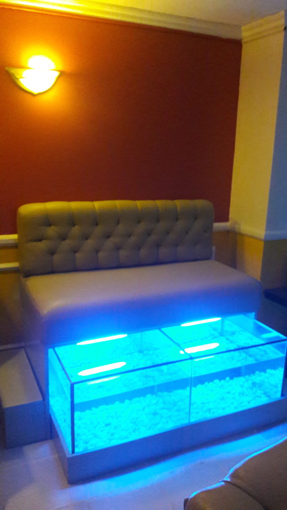 Soulstice Spa's secret: The Fish Spa area!